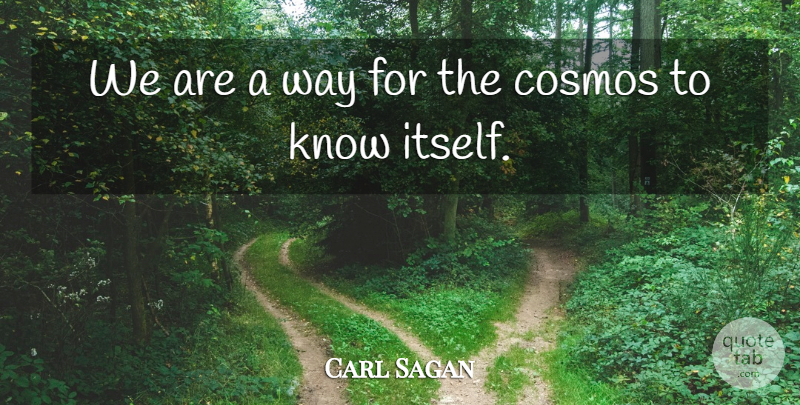 Carl Sagan Quote About Knowledge, Science, Stuff: We Are A Way For...