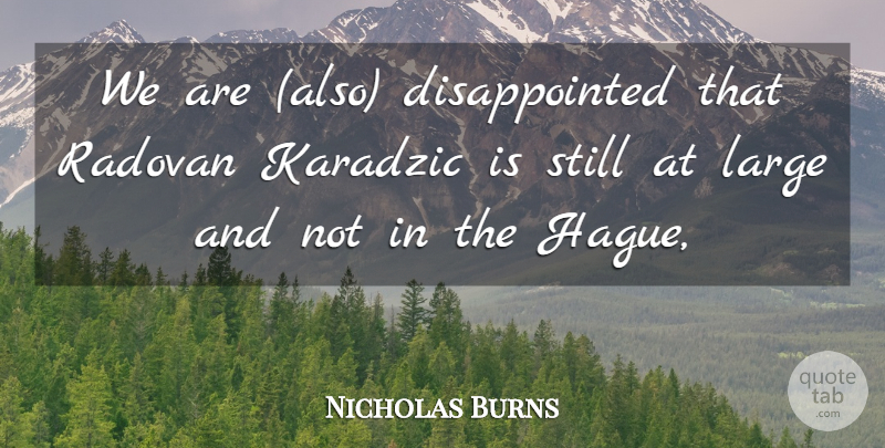 Nicholas Burns Quote About Large: We Are Also Disappointed That...