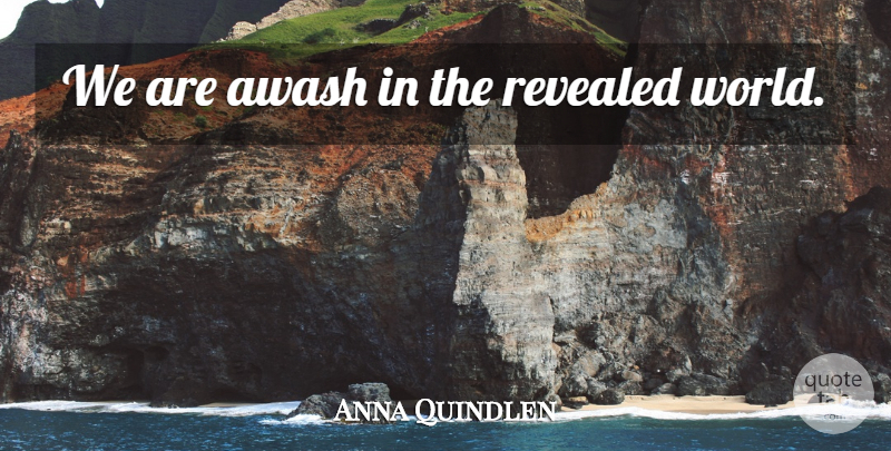 Anna Quindlen Quote About World, Information: We Are Awash In The...