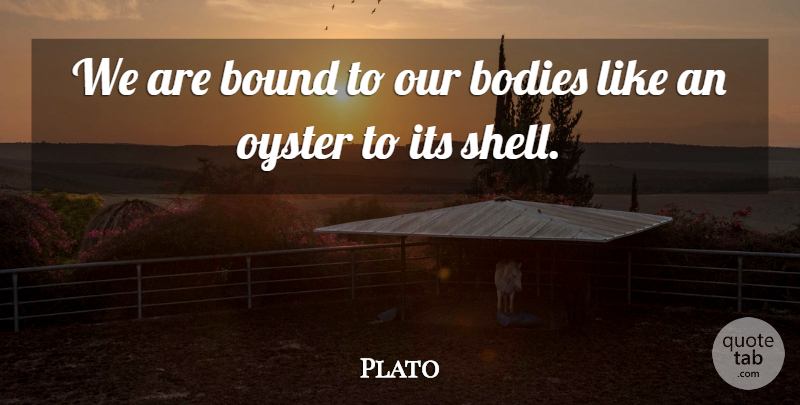 Plato Quote About Oysters, Body, Shells: We Are Bound To Our...