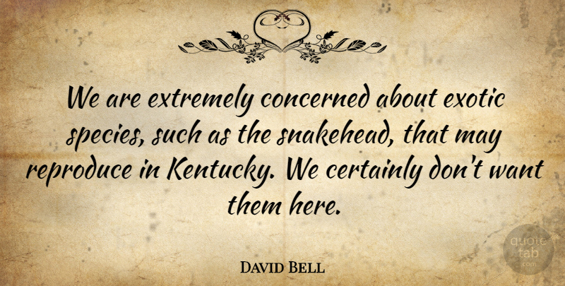 David Bell Quote About Certainly, Concerned, Exotic, Extremely, Reproduce: We Are Extremely Concerned About...