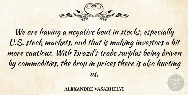 Alexandre Vasarhelyi Quote About Bit, Driven, Drop, Hurting, Investors: We Are Having A Negative...