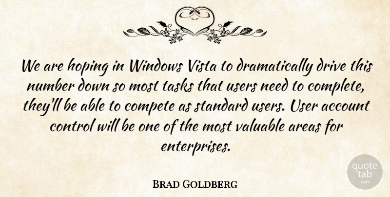 Brad Goldberg Quote About Account, Areas, Compete, Control, Drive: We Are Hoping In Windows...