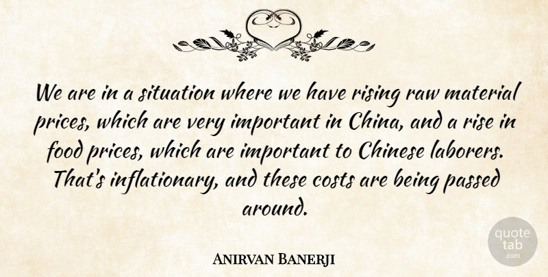 Anirvan Banerji Quote About Chinese, Costs, Food, Material, Passed: We Are In A Situation...