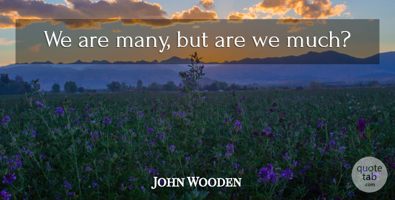John Wooden Quote About undefined: We Are Many But Are...