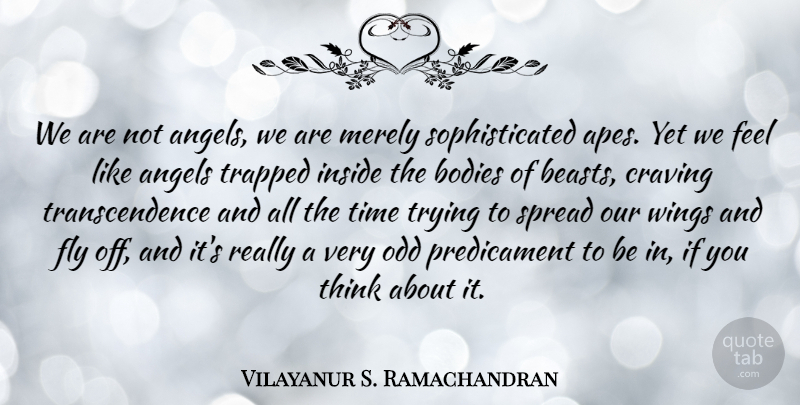Vilayanur S. Ramachandran Quote About Angel, Thinking, Wings: We Are Not Angels We...