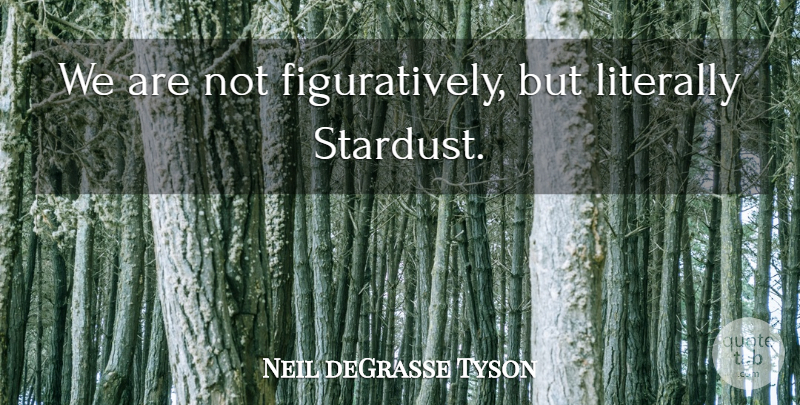 Neil deGrasse Tyson Quote About Stardust: We Are Not Figuratively But...