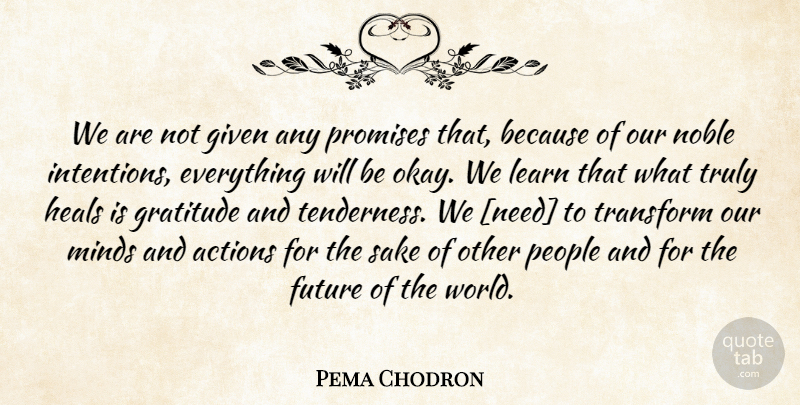 Pema Chodron Quote About Gratitude, People, Promise: We Are Not Given Any...
