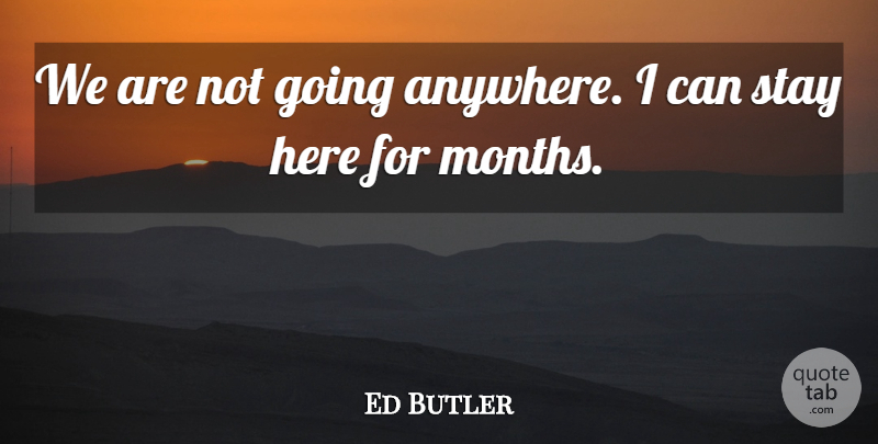 Ed Butler Quote About Stay: We Are Not Going Anywhere...