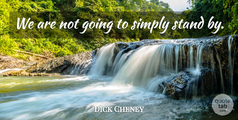 Dick Cheney Quote About Simply, Stand: We Are Not Going To...