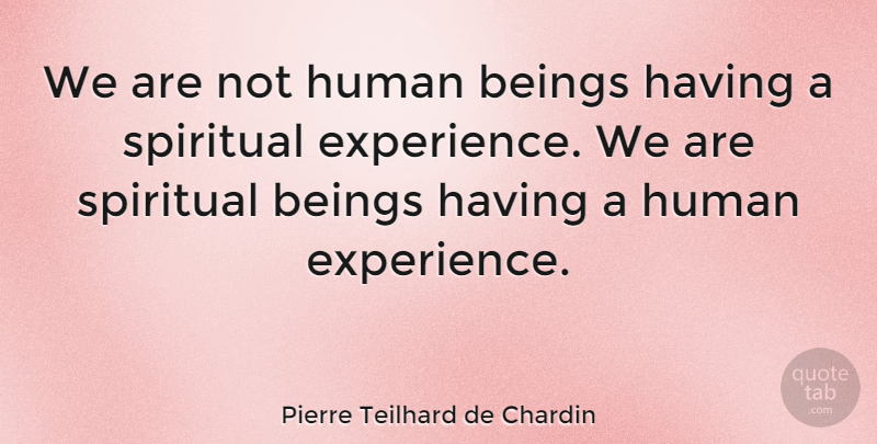 teilhard de chardin we are not human beings