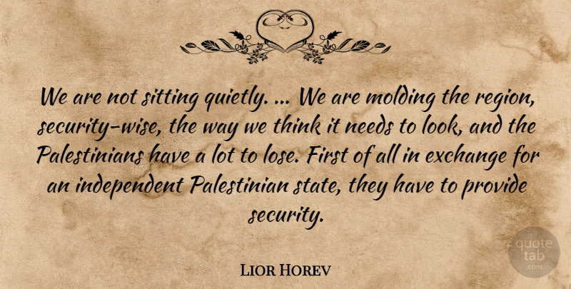 Lior Horev Quote About Exchange, Needs, Provide, Sitting: We Are Not Sitting Quietly...