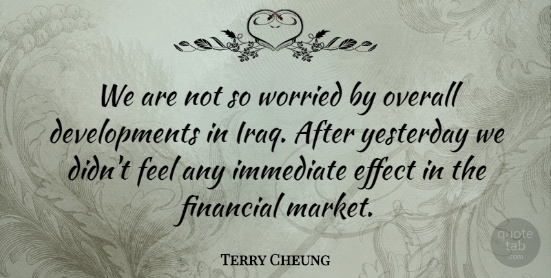 Terry Cheung Quote About Effect, Financial, Immediate, Overall, Worried: We Are Not So Worried...
