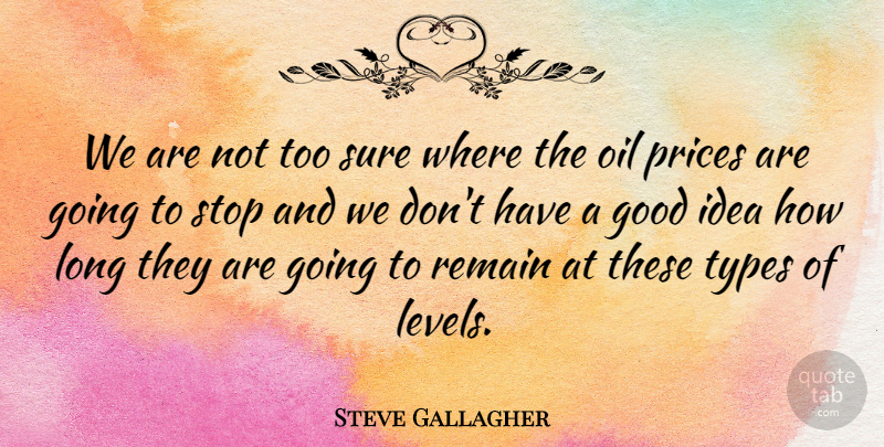 Steve Gallagher Quote About Good, Oil, Prices, Remain, Stop: We Are Not Too Sure...