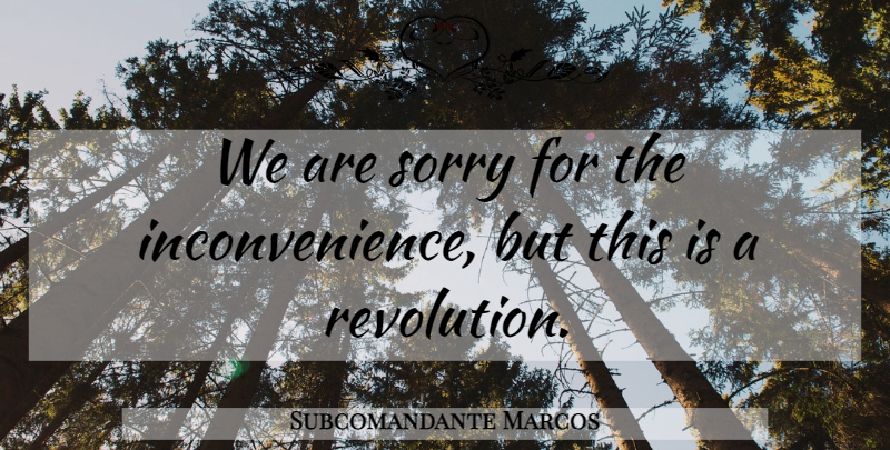 Subcomandante Marcos Quote About Sorry, Revolution, Inconvenience: We Are Sorry For The...
