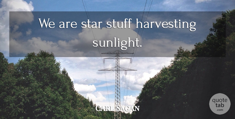 Carl Sagan Quote About Stars, Stuff, Sunlight: We Are Star Stuff Harvesting...