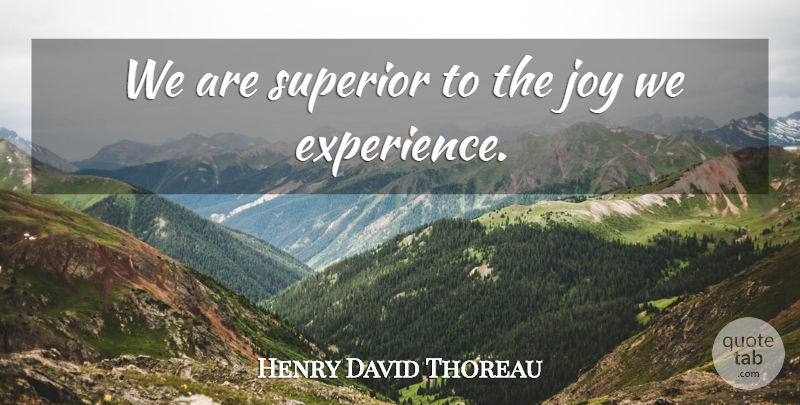 Henry David Thoreau Quote About Joy, Experience, Superiors: We Are Superior To The...