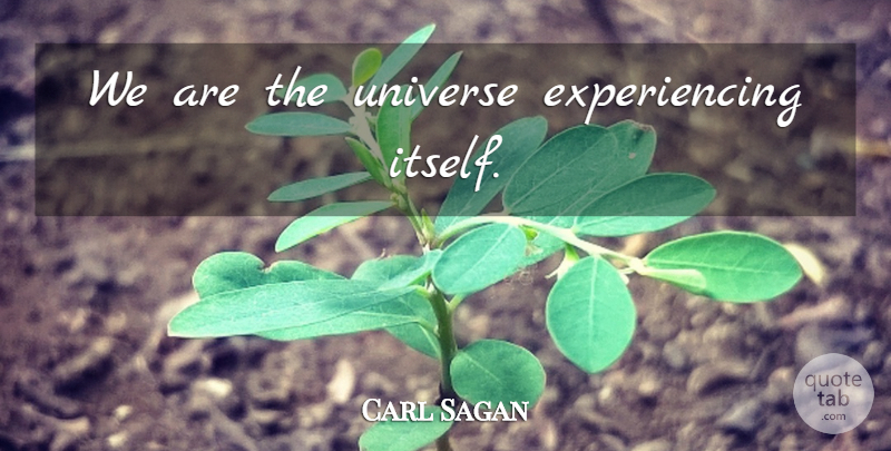 Carl Sagan Quote About Universe: We Are The Universe Experiencing...