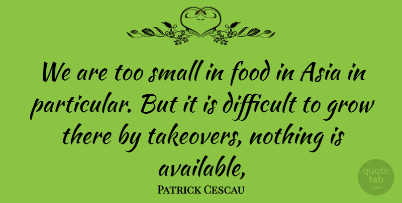 Patrick Cescau Quote About Asia, Difficult, Food, Grow, Small: We Are Too Small In...