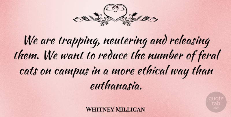 Whitney Milligan Quote About Campus, Cats, Ethical, Number, Reduce: We Are Trapping Neutering And...