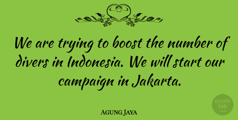 Agung Jaya Quote About Boost, Campaign, Divers, Number, Scholars And Scholarship: We Are Trying To Boost...