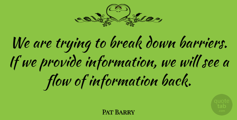 Pat Barry Quote About Break, Flow, Information, Provide, Trying: We Are Trying To Break...