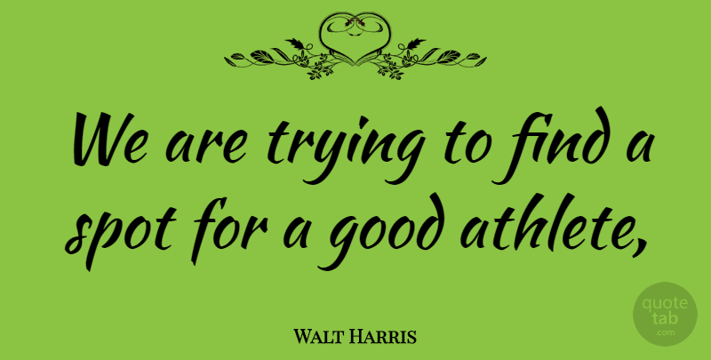 Walt Harris Quote About Good, Spot, Trying: We Are Trying To Find...