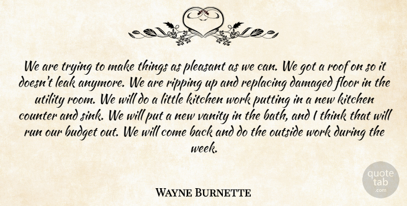 Wayne Burnette Quote About Budget, Budgets, Counter, Damaged, Floor: We Are Trying To Make...