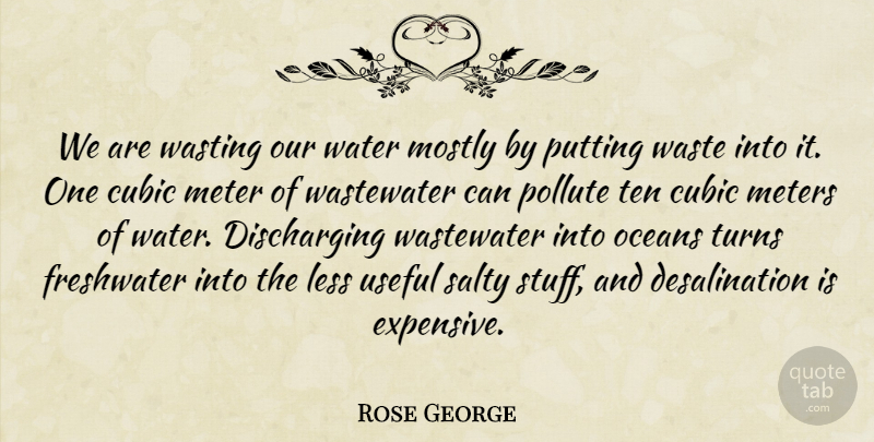 Rose George Quote About Mostly, Oceans, Putting, Salty, Ten: We Are Wasting Our Water...