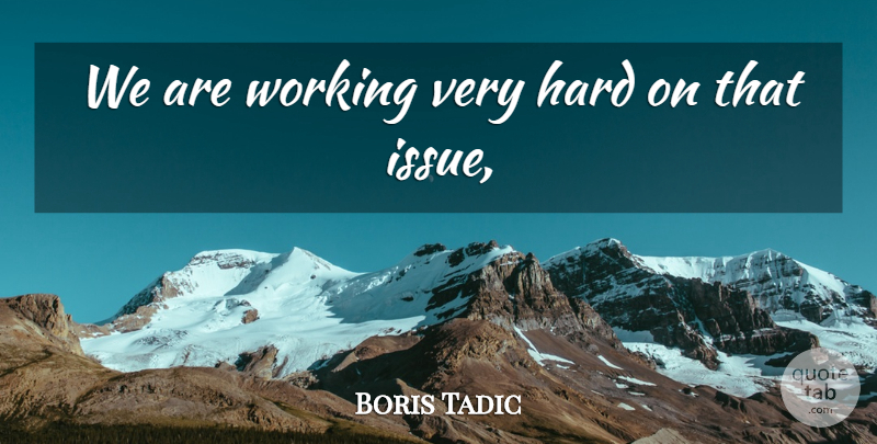 Boris Tadic Quote About Hard: We Are Working Very Hard...