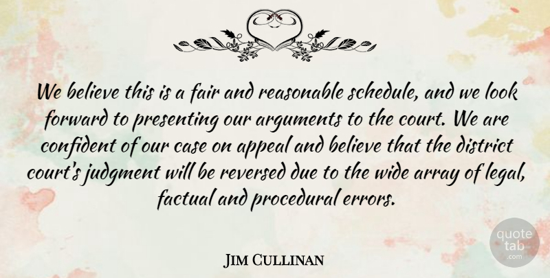 Jim Cullinan Quote About Appeal, Array, Believe, Case, Confident: We Believe This Is A...