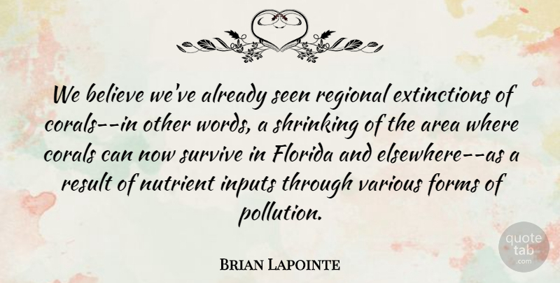 Brian Lapointe Quote About Area, Believe, Florida, Forms, Inputs: We Believe Weve Already Seen...