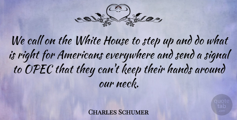 Charles Schumer Quote About Call, Everywhere, Hands, House, Send: We Call On The White...
