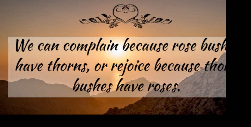 Abraham Lincoln Quote About Inspirational, Positive, Happiness: We Can Complain Because Rose...