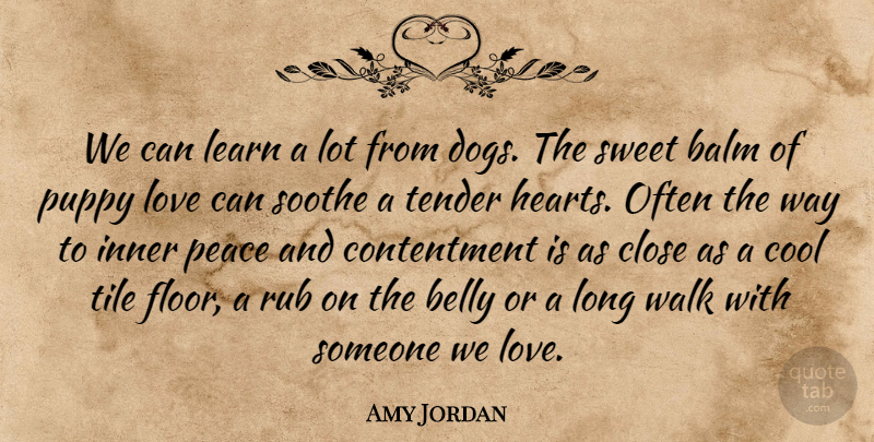 Amy Jordan Quote About Balm, Belly, Close, Contentment, Cool: We Can Learn A Lot...