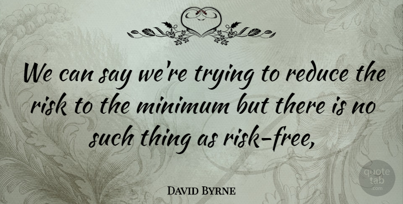David Byrne Quote About Minimum, Reduce, Risk, Trying: We Can Say Were Trying...