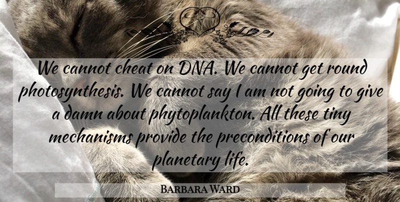 Barbara Ward Quote About Cannot, Cheat, Damn, Mechanisms, Planetary: We Cannot Cheat On Dna...
