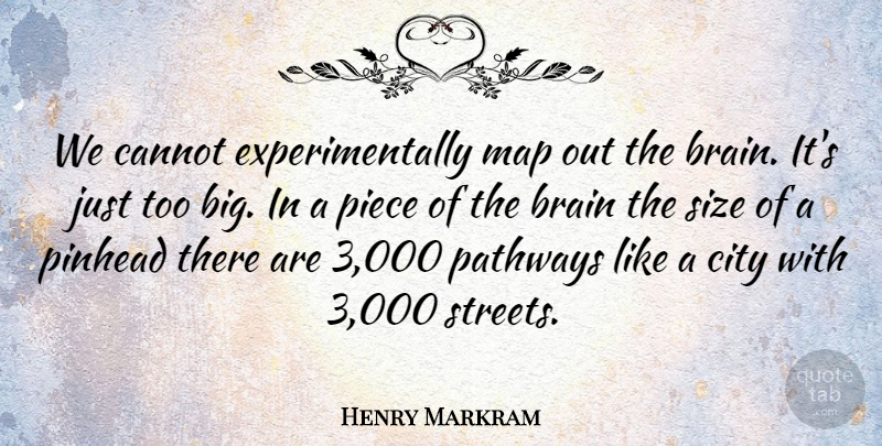 Henry Markram Quote About Cannot, Piece, Size: We Cannot Experimentally Map Out...