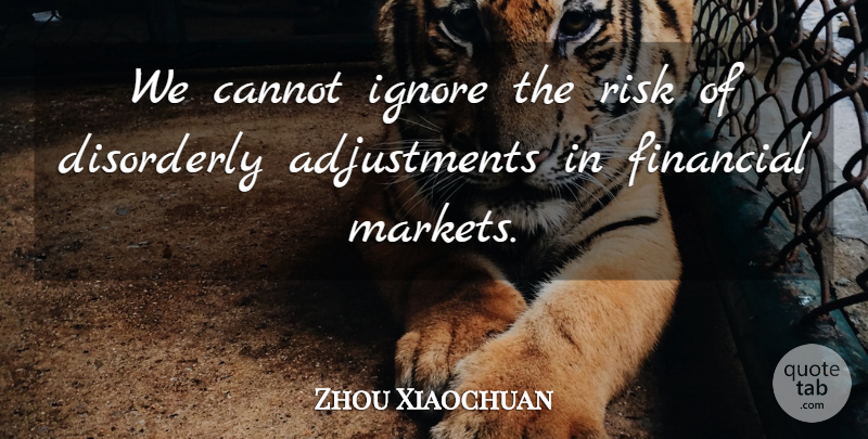 Zhou Xiaochuan Quote About Cannot, Financial, Ignore, Risk: We Cannot Ignore The Risk...