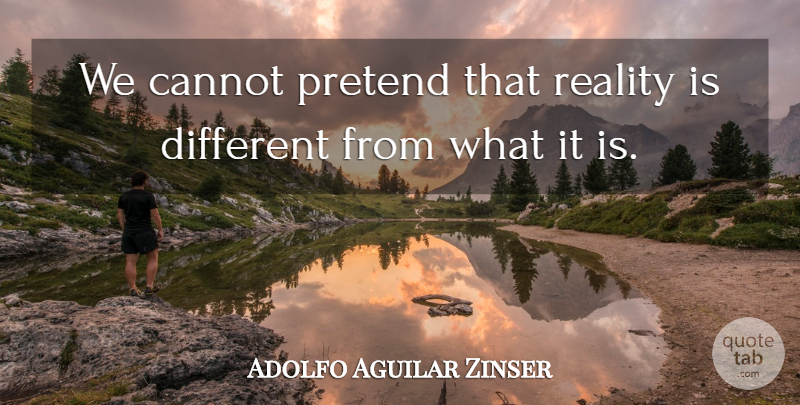 Adolfo Aguilar Zinser Quote About Reality, Different: We Cannot Pretend That Reality...