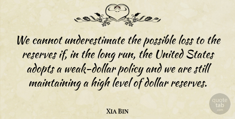 Xia Bin Quote About Cannot, Dollar, High, Level, Loss: We Cannot Underestimate The Possible...