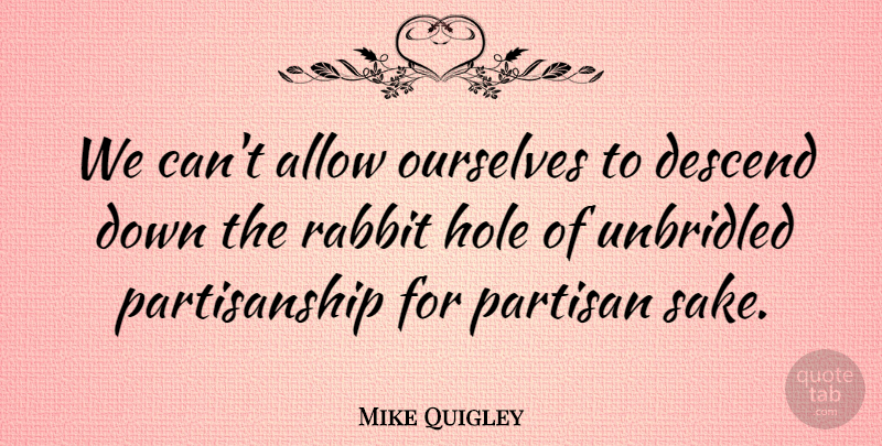 Mike Quigley Quote About Allow, Descend, Partisan, Unbridled: We Cant Allow Ourselves To...