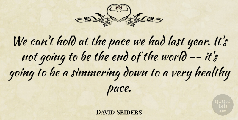 David Seiders Quote About Healthy, Hold, Last, Pace: We Cant Hold At The...