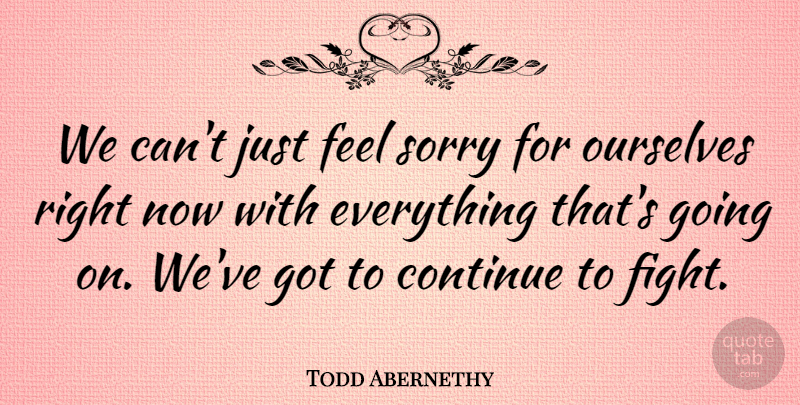 Todd Abernethy Quote About Continue, Ourselves, Sorry: We Cant Just Feel Sorry...