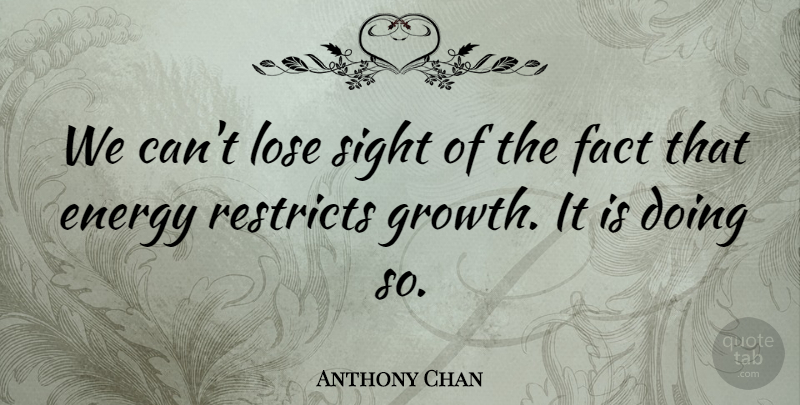 Anthony Chan Quote About Energy, Fact, Lose, Sight: We Cant Lose Sight Of...