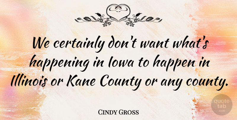 Cindy Gross Quote About Certainly, County, Happening, Illinois, Iowa: We Certainly Dont Want Whats...