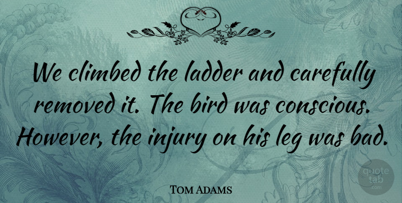 Tom Adams Quote About Bird, Carefully, Climbed, Injury, Ladder: We Climbed The Ladder And...