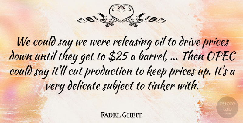 Fadel Gheit Quote About Cut, Delicate, Drive, Oil, Prices: We Could Say We Were...