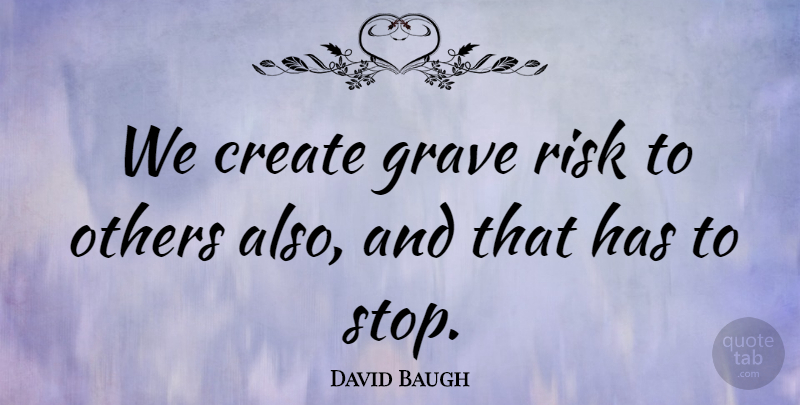 David Baugh Quote About Create, Grave, Others, Risk: We Create Grave Risk To...