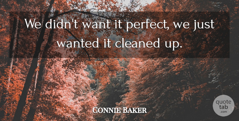 Connie Baker Quote About Cleaned: We Didnt Want It Perfect...